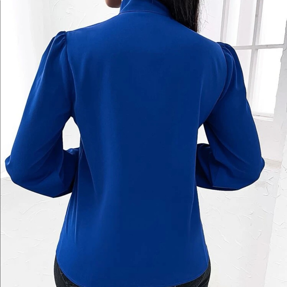 Solid neck tie blouse - Picture 3 of 5
